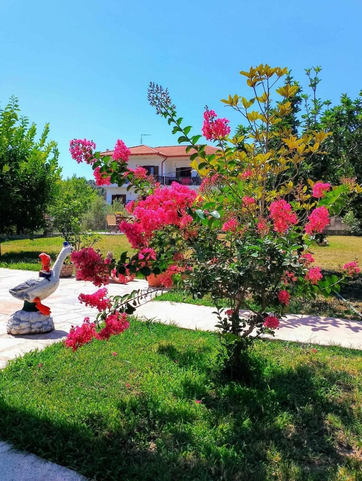 Alexandra'S Garden Apartment Paliouri Exterior foto